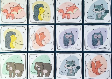 jeux de memory apprentissage enfant mymyreloo